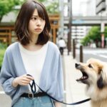 犬に吠えられる人の特徴と対処法