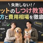 失敗しない！ペットのしつけ教室の選び方と費用相場を徹底解説