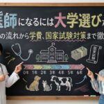 獣医師になるには大学選びが鍵！6年間の流れから学費、国家試験対策まで徹底解説