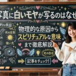 写真に白いモヤが写るのはなぜ？物理的な原因からスピリチュアルな意味まで徹底解説