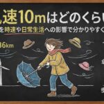 風速10mはどのくらい？目安を時速や日常生活への影響で分かりやすく解説