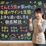 てんとう虫が家の中に？幸運のサインと生態・上手な追い出し方を徹底解説